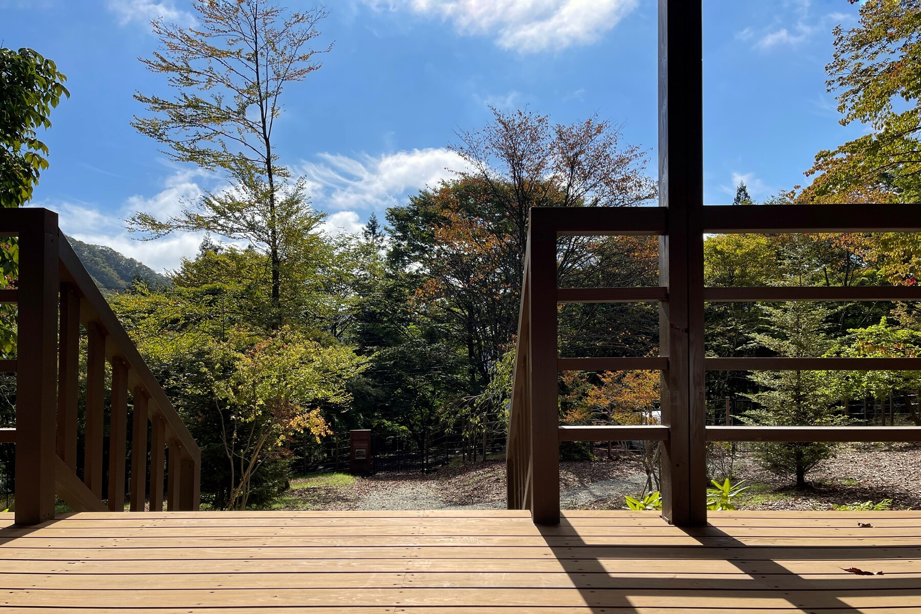 木のテラスから眺める庭の木々と空